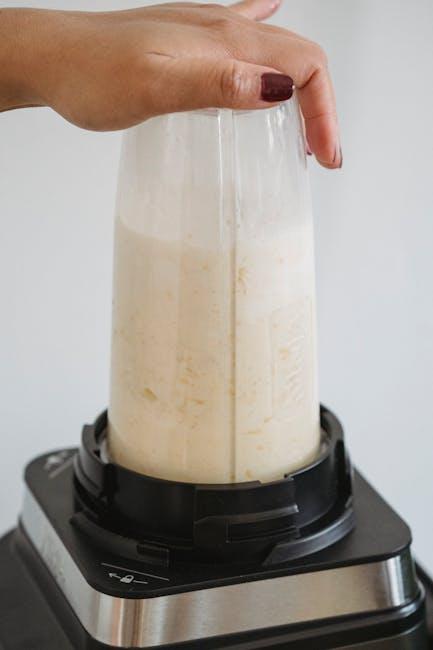 Best Hand Blender – Immersion Blender by Kitchen Maestro Review